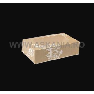 Cutii cu fereastra 20x10,5x5 (50)