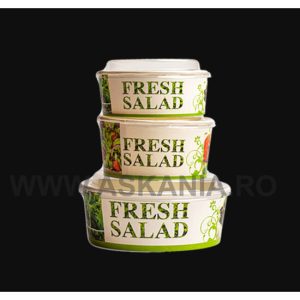 Caserola carton Fresh Salad